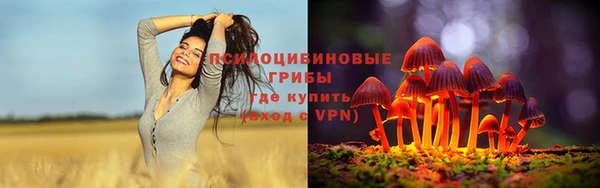 прущая мука Белокуриха