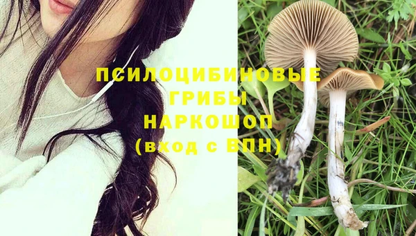прущая мука Белокуриха