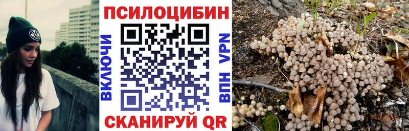 закладки  мега маркетплейс  Псилоцибиновые грибы мухоморы  Жердевка 